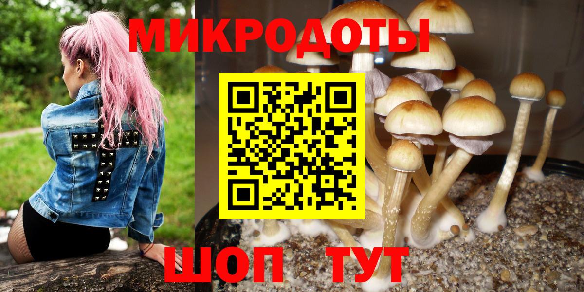 Псилоцибиновые грибы Magic Shrooms  Галлюциногенные грибы ЛСД  Моздок  Вход с VPN 